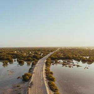  Tente de luxe Pura Eco Retreat, Jubail Island
